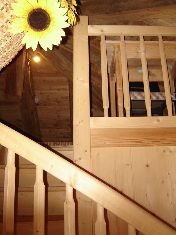 Residenza Domino Selva di Cadore Quarto foto